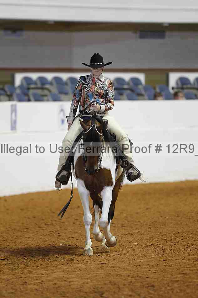 Proof 12r9_3161