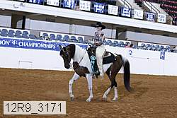 12r9_3171 proof