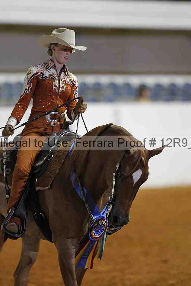 Proof 12r9_3176