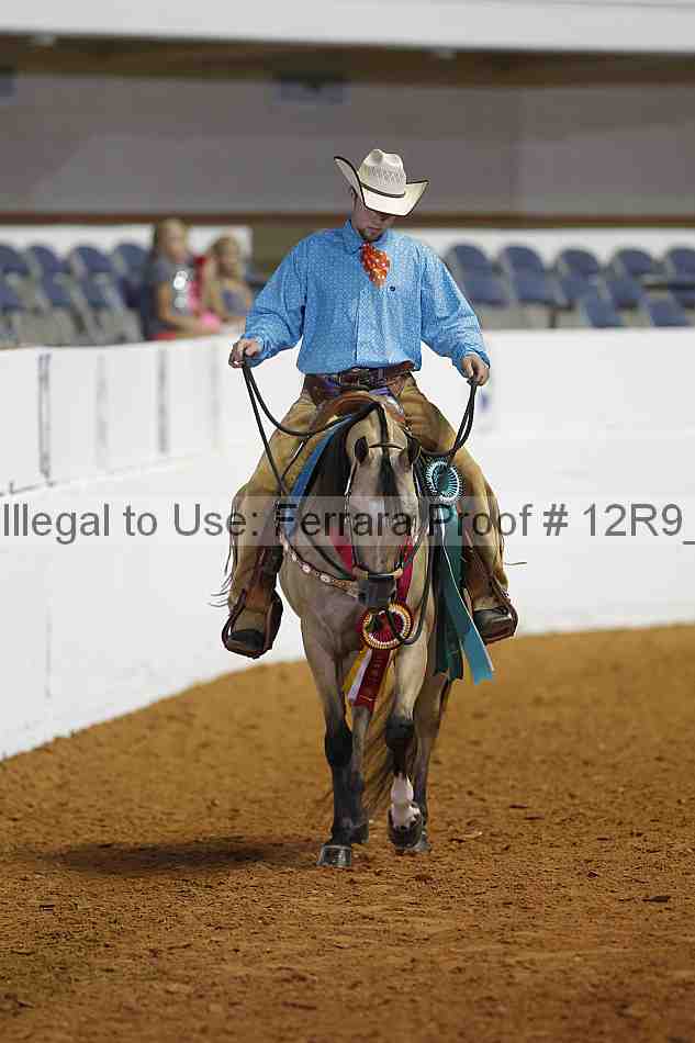 Proof 12r9_3187