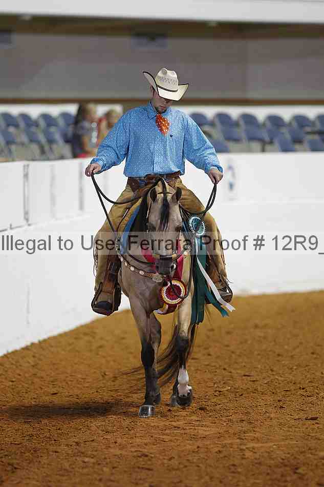 Proof 12r9_3188