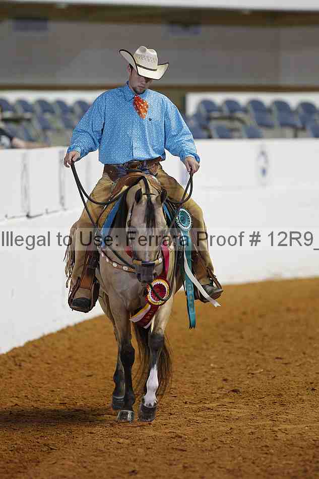 Proof 12r9_3189
