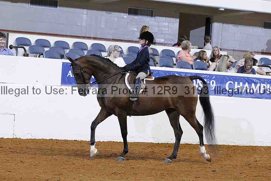 Proof 12r9_3193