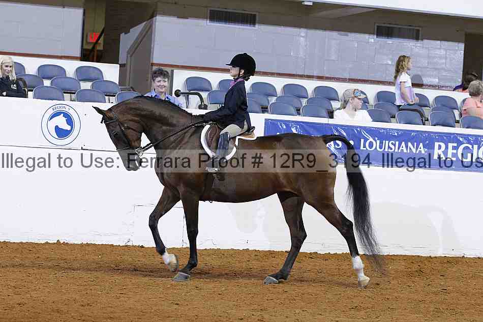 Proof 12r9_3194