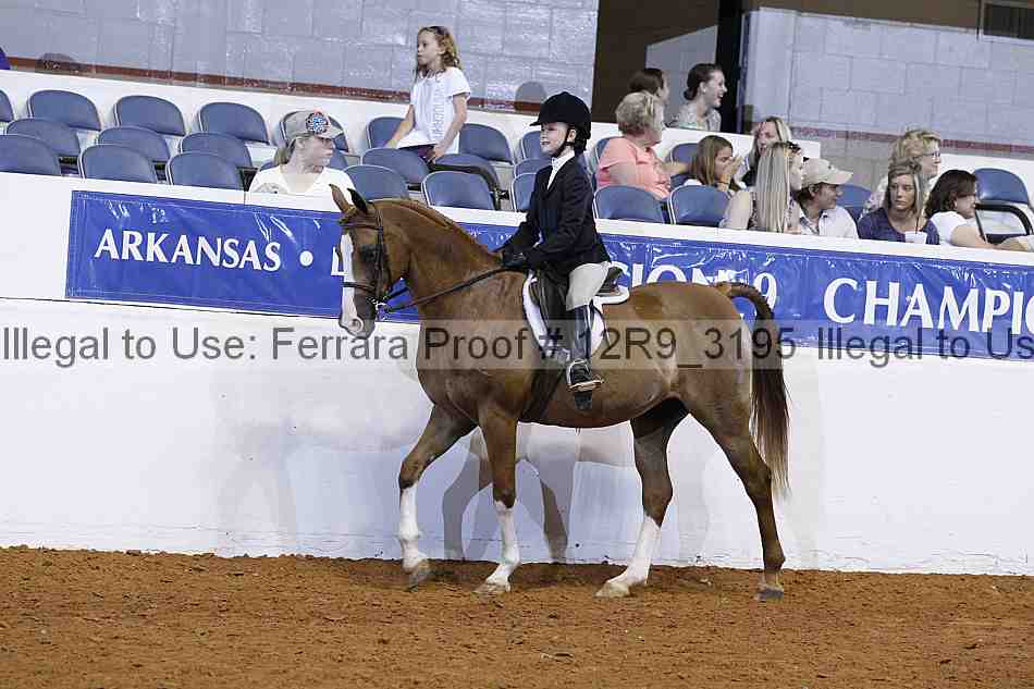 Proof 12r9_3195