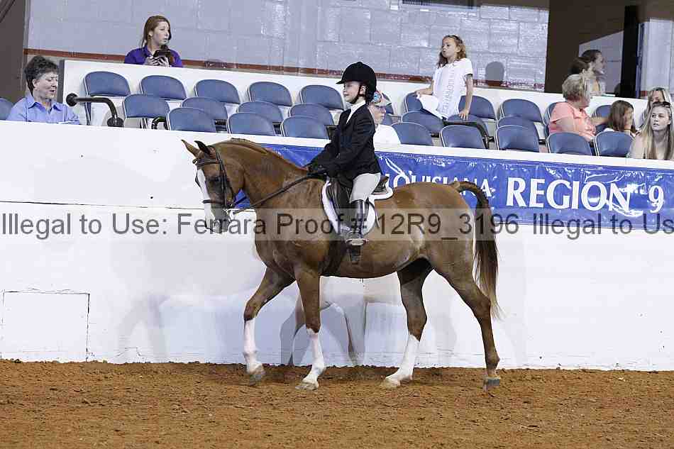 Proof 12r9_3196