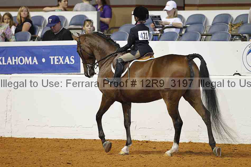 Proof 12r9_3197