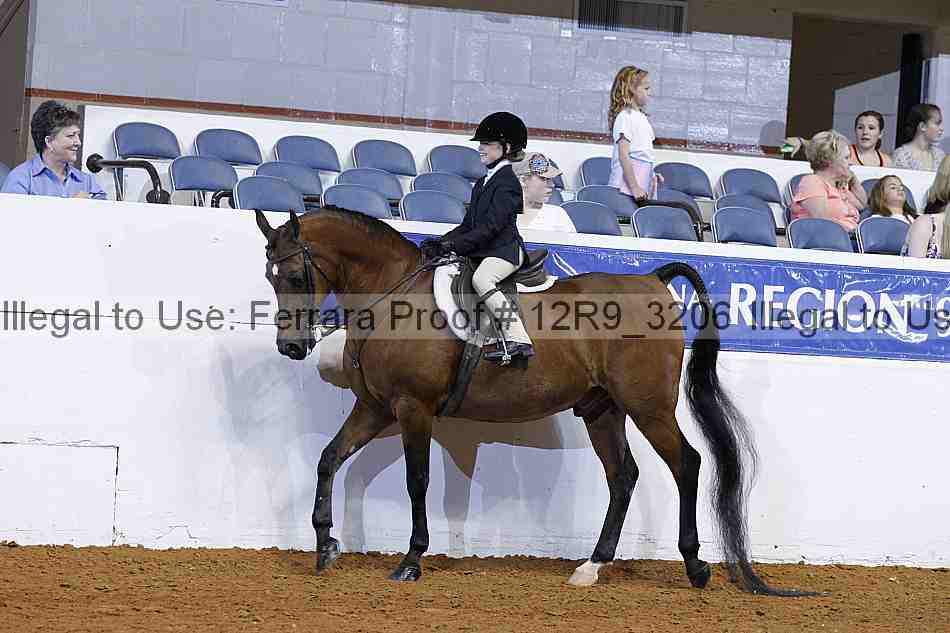 Proof 12r9_3206