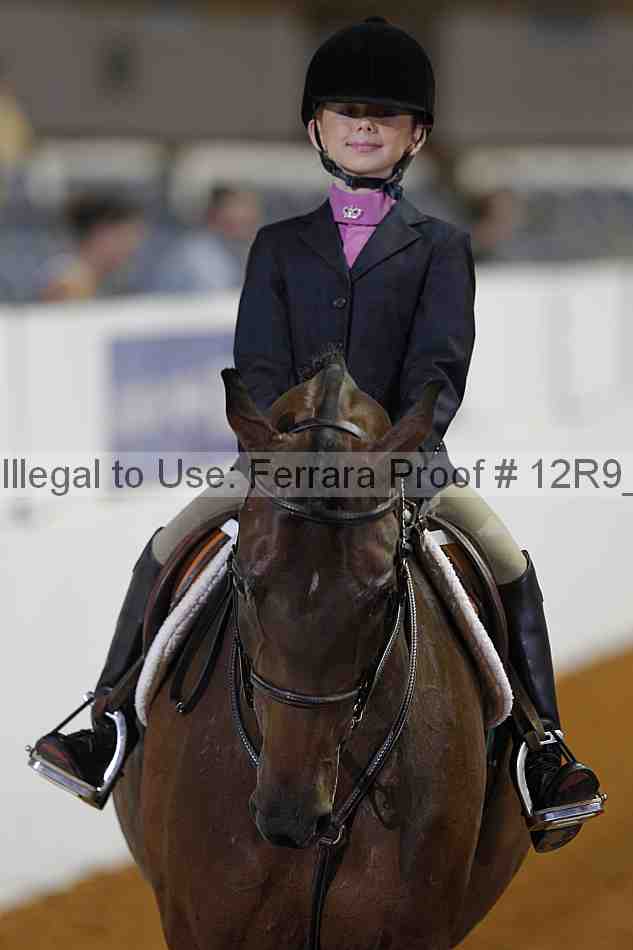 Proof 12r9_3207