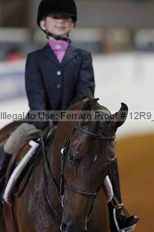 Proof 12r9_3208