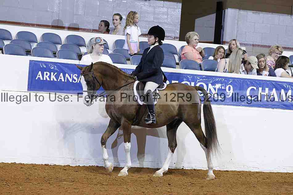 Proof 12r9_3209