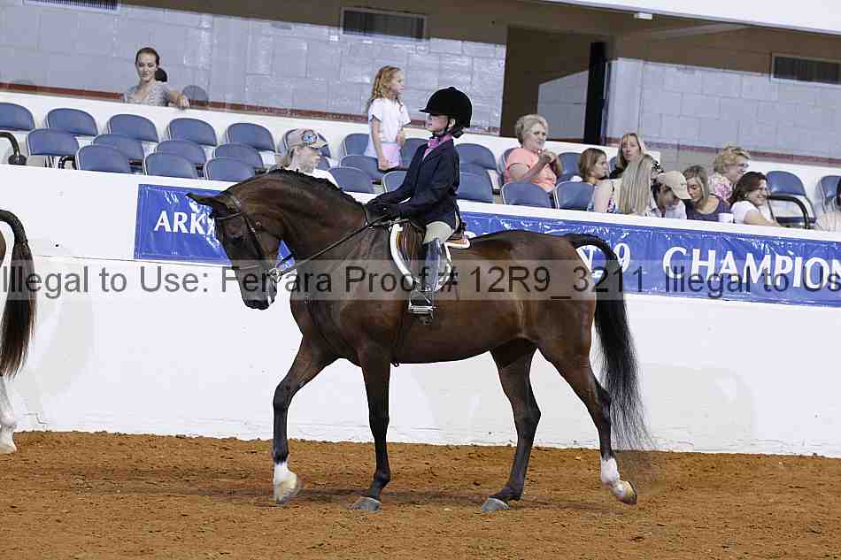 Proof 12r9_3211