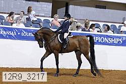12r9_3217 proof