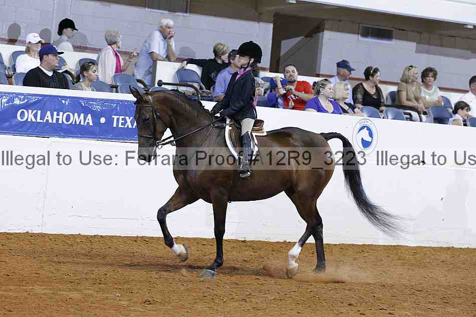 Proof 12r9_3223