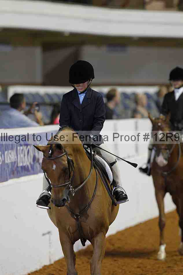 Proof 12r9_3229