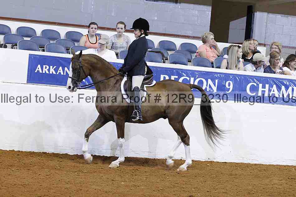 Proof 12r9_3230