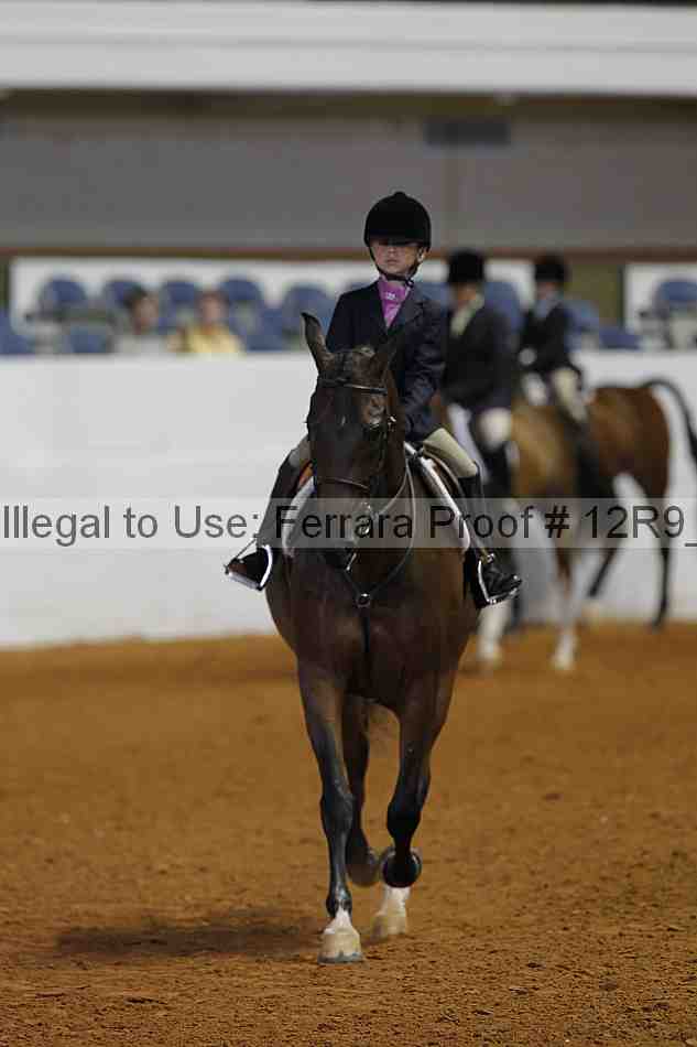 Proof 12r9_3231