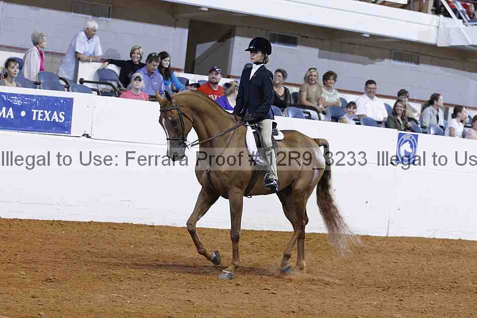 Proof 12r9_3233