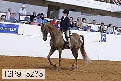 12r9_3233 proof