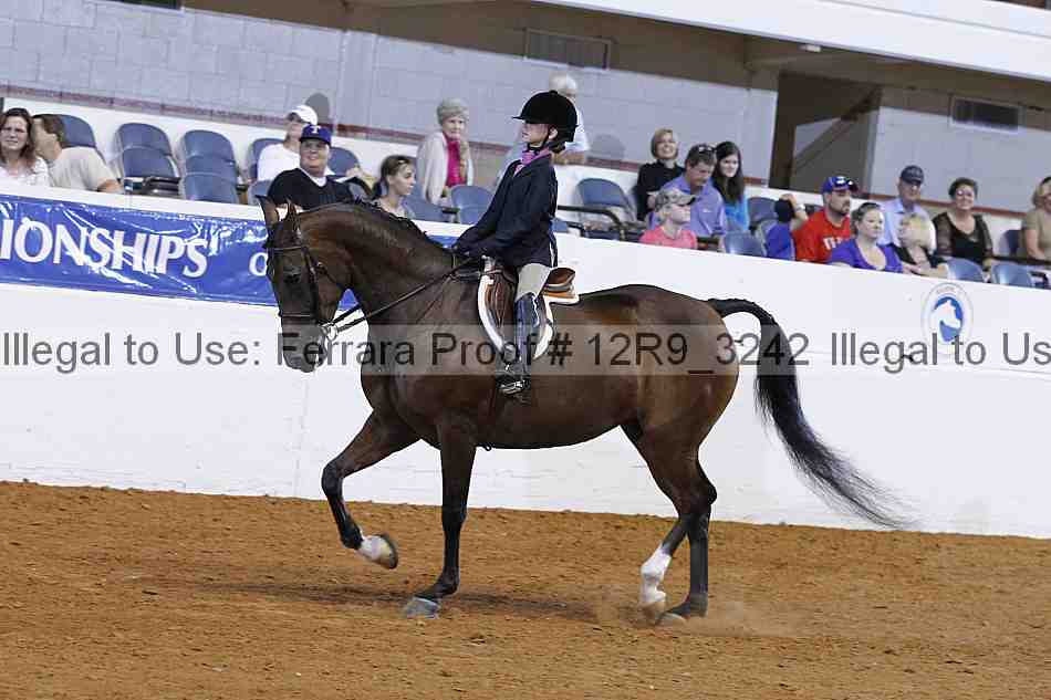 Proof 12r9_3242