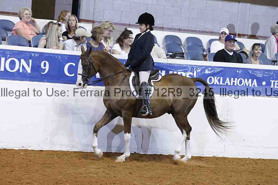 Proof 12r9_3245