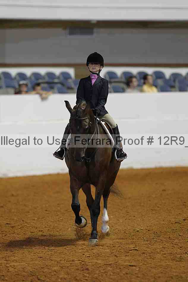 Proof 12r9_3248