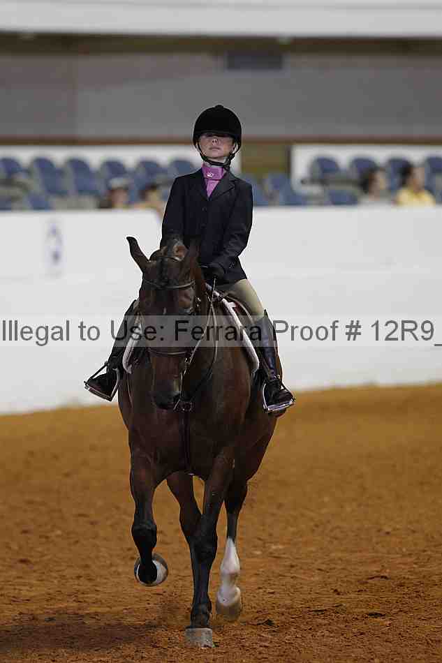 Proof 12r9_3249
