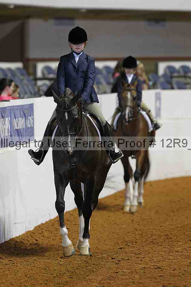 Proof 12r9_3252