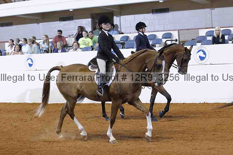 Proof 12r9_3256