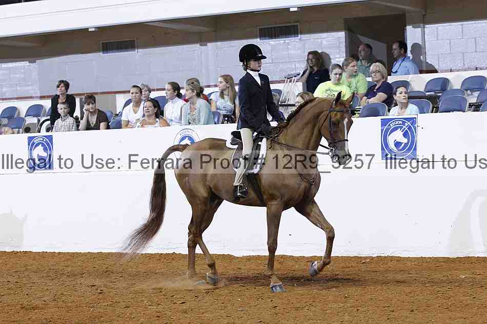 Proof 12r9_3257