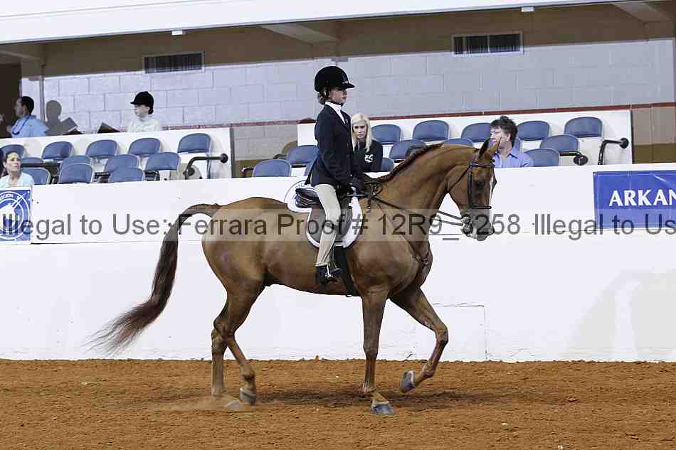 Proof 12r9_3258