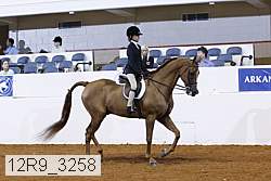 12r9_3258 proof