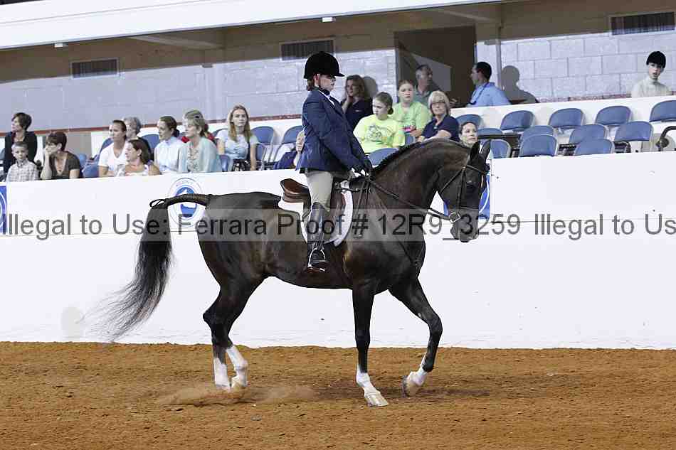 Proof 12r9_3259