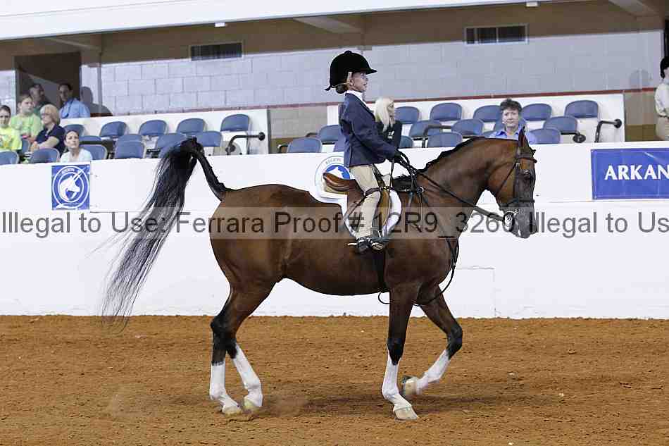 Proof 12r9_3260