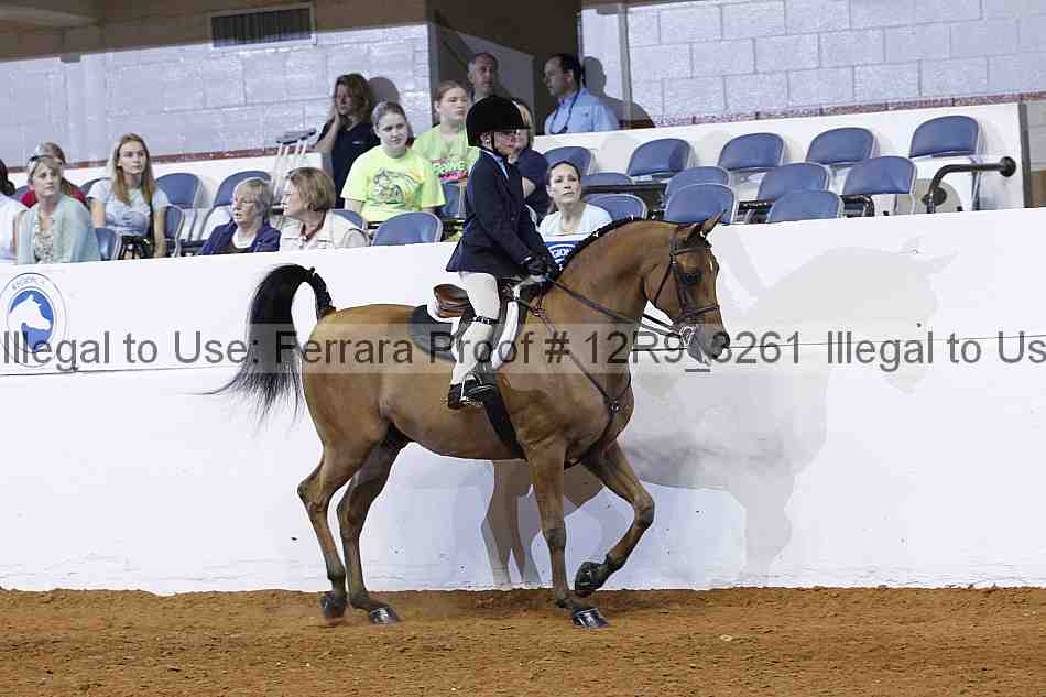 Proof 12r9_3261