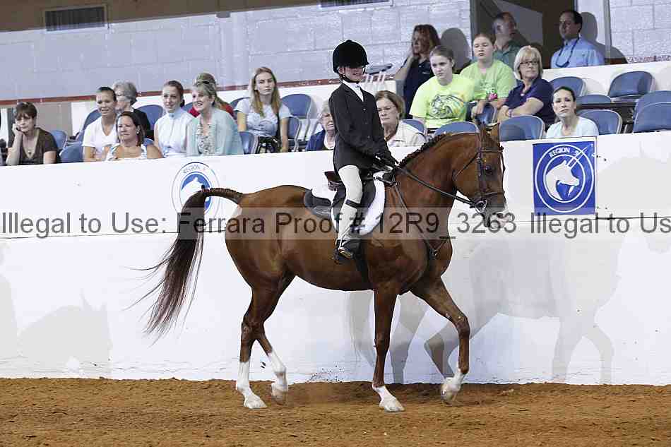Proof 12r9_3263