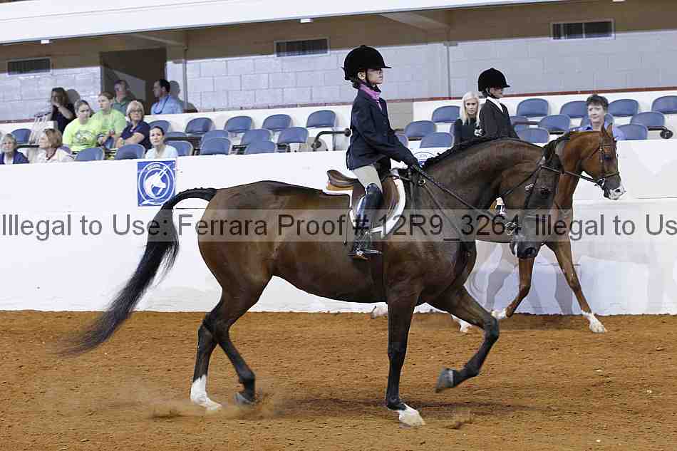 Proof 12r9_3264