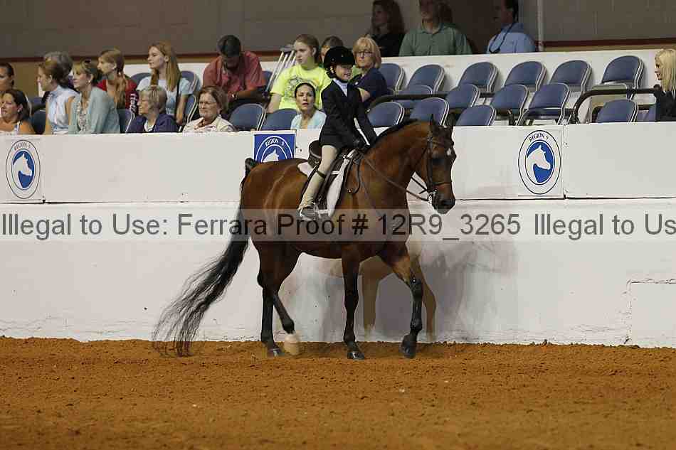 Proof 12r9_3265