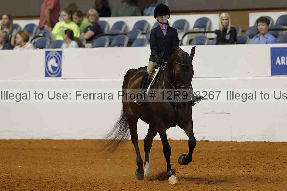 Proof 12r9_3267
