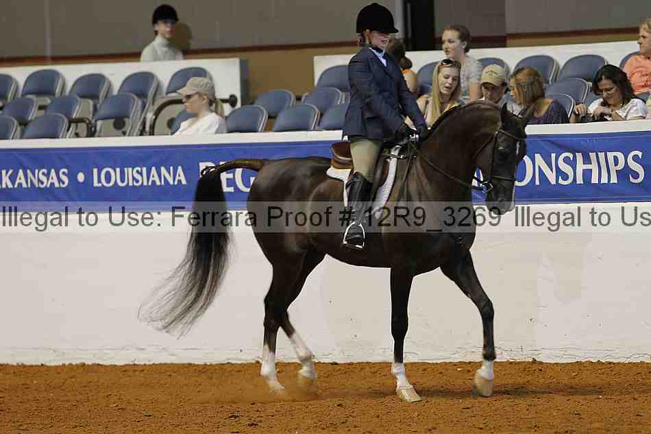 Proof 12r9_3269