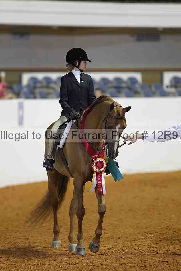 Proof 12r9_3275