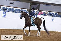 12r9_3285 proof