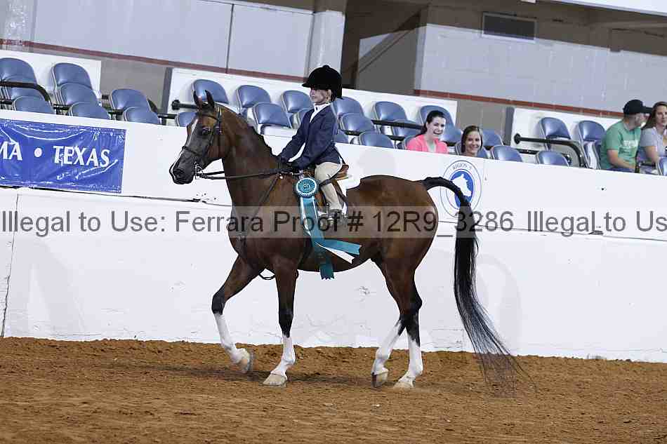 Proof 12r9_3286