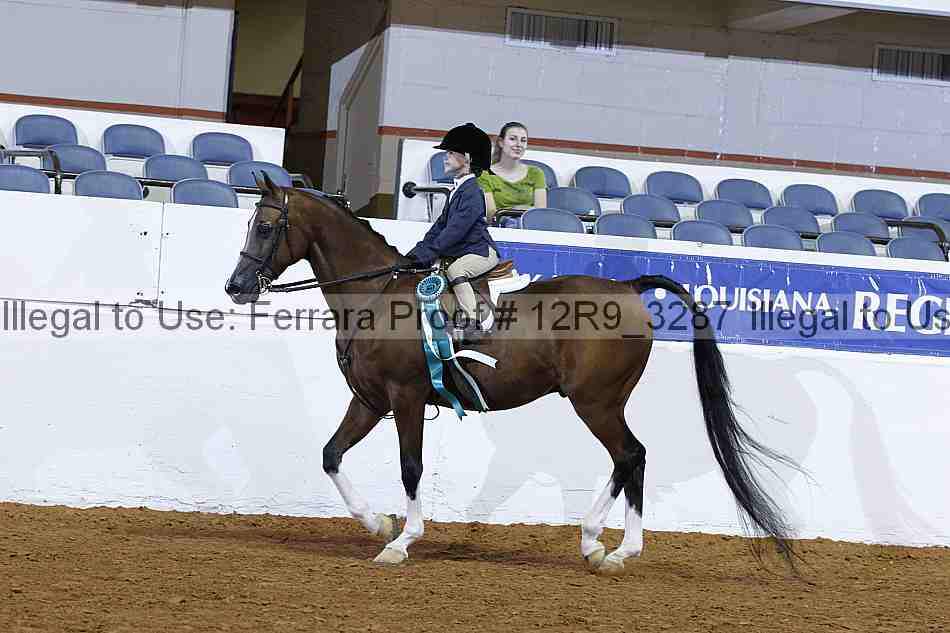 Proof 12r9_3287
