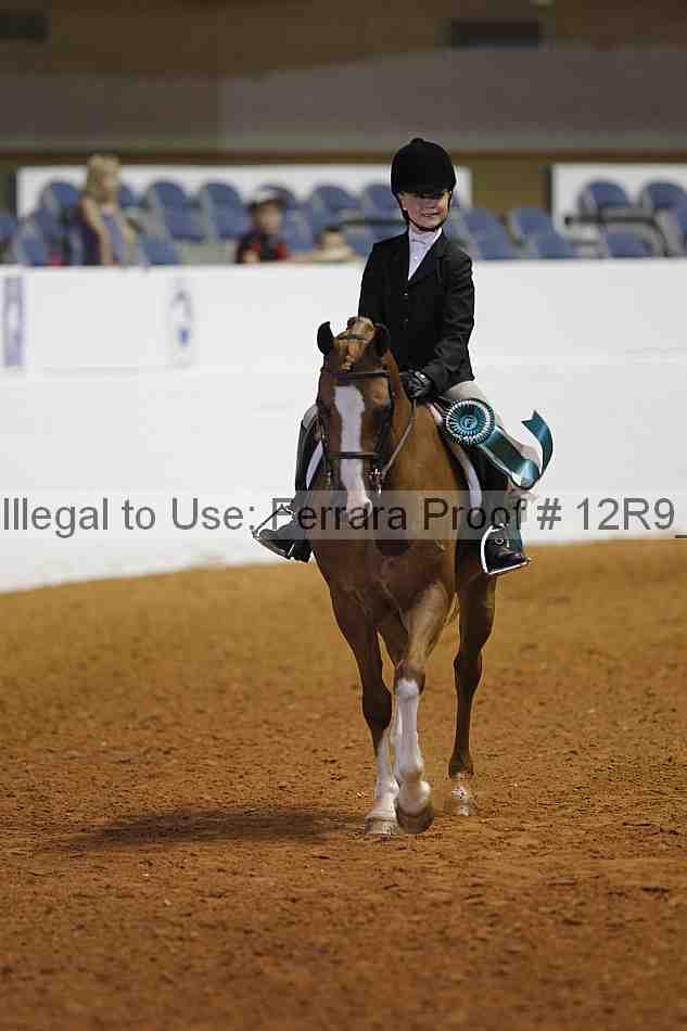 Proof 12r9_3290