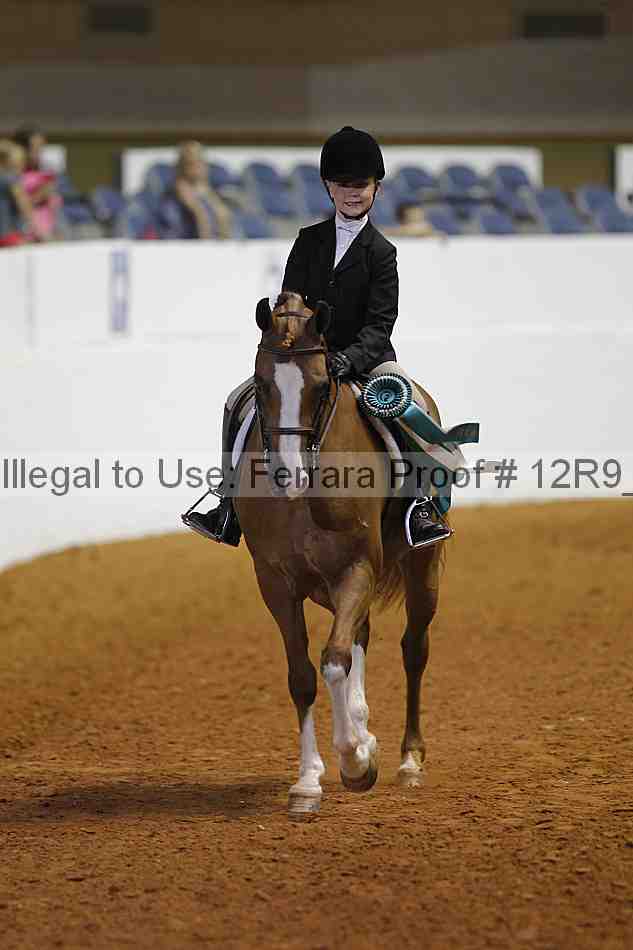 Proof 12r9_3291