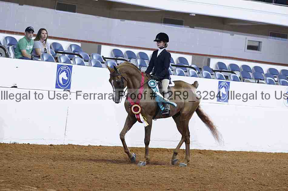 Proof 12r9_3294