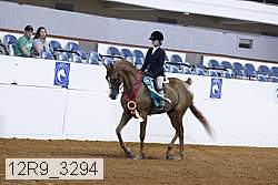 12r9_3294 proof