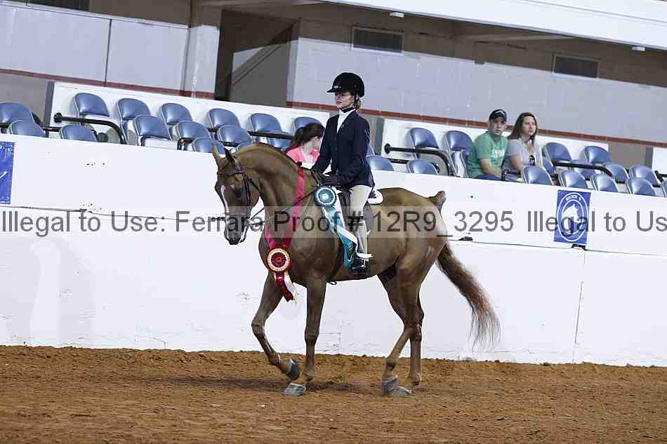 Proof 12r9_3295