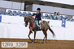 12r9_3295 proof